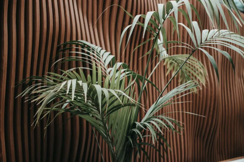 Living Walls, Sunlit Rooms, and Stone Floors: Inside America's Obsession with Bringing the Outdoors In