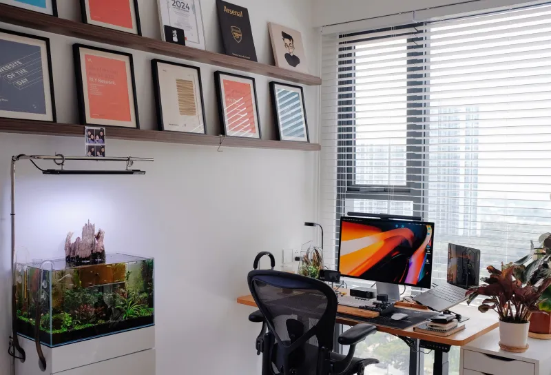 Look Up, Look Out: How Smart Room Design Is Quietly Saving Us from Screen Burnout
